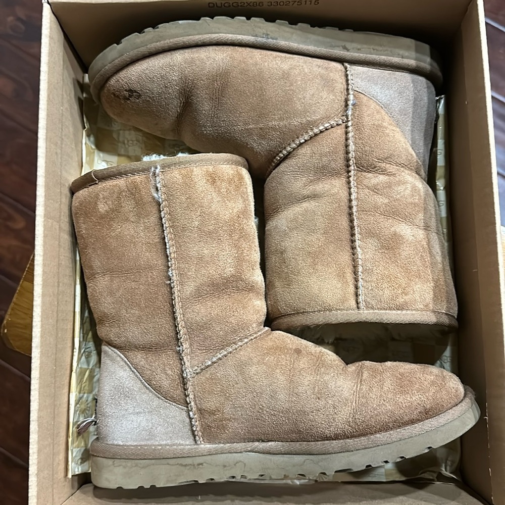 Ugg Classic Short Chestnut Boots Size 6 Women's with box
